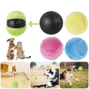 Conjunto Bolinha Automática Truck