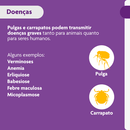 Antipulgas e Carrapatos Bravecto 20 a 40 kg Cães 1000mg 1 comprimido
