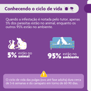 Antipulgas e Carrapatos Bravecto 20 a 40 kg Cães 1000mg 1 comprimido