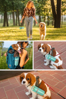 Recolhedor de Fezes Pet Poopick