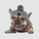 Gorro Pet Will