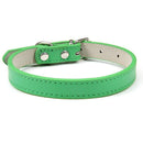 Coleira Basic Mely