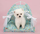 Tenda Pet Raika