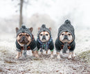 Gorro Pet Will