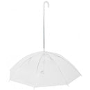 Guia com Guarda-chuva Tour