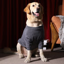 Tricot Pet Grande Urso