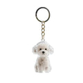 Chaveiro Colecionar Pelos Pet Memories