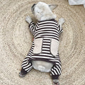 Macacão Pet Pierre