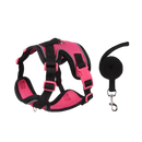 Coleira Pet & Guia Royale