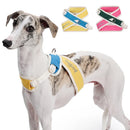 Coleira Pet Anti-puxão Acolchoada PetStyle