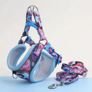 Kit Coleira & Guia Corgy