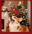 Brinquedo Bola Pet Mágica