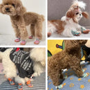 Sapatinho Pet Street Paw