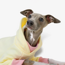 Moletom Whippet Napolitano