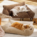 Cama Sofazinho PetLounge