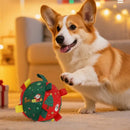 Brinquedo Bola Pet Mágica