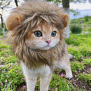 Gorro Pet Leãozinho