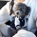 Jaqueta Pet Outfit
