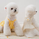 Vestido Pet Jasmin