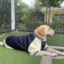 Jaqueta Pet Bomber