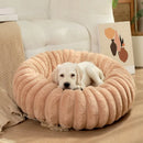 Puff Pet Colmeia