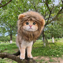 Gorro Pet Leãozinho