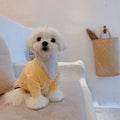 Cardigan Pet Zakar