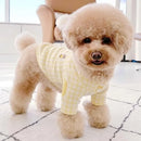 Blusinha Pet Montivi