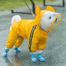 Capa de Chuva Pet Djudi