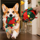 Brinquedo Bola Pet Mágica