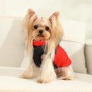 Colete Pet Witmi