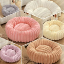 Puff Pet Colmeia