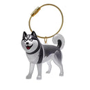 Chaveiro Colecionar Pelos Pet Memories